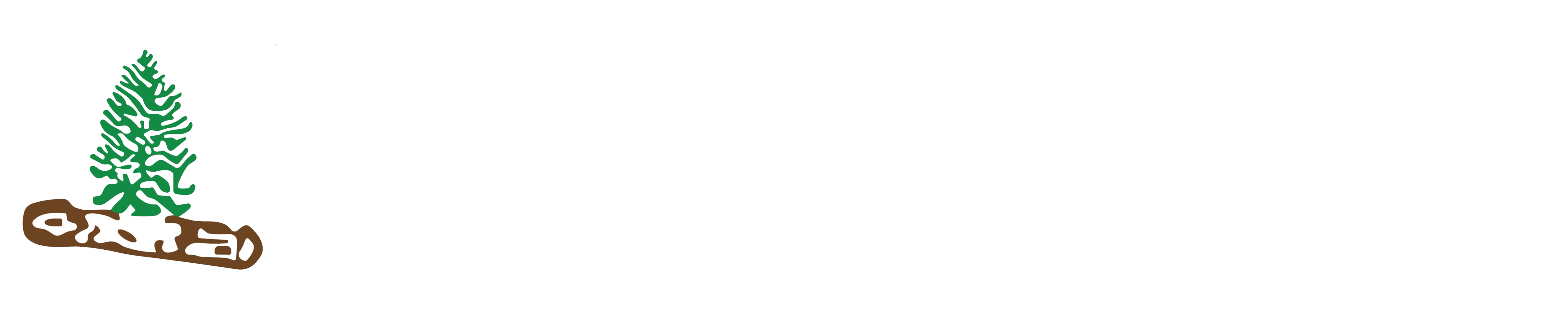 Activacorp Desarrollo